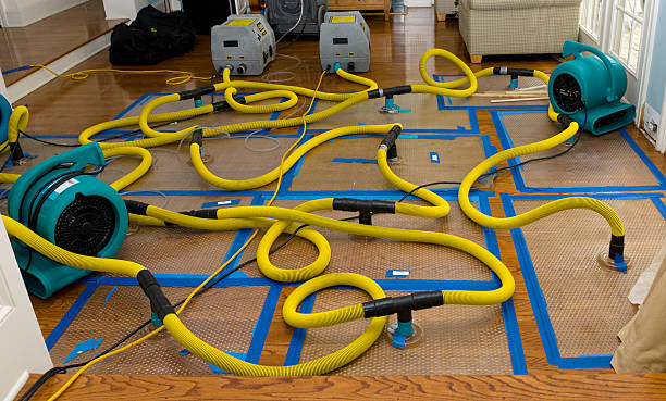 Professional Burst Pipe Water Damage technician working in Lake George, CO